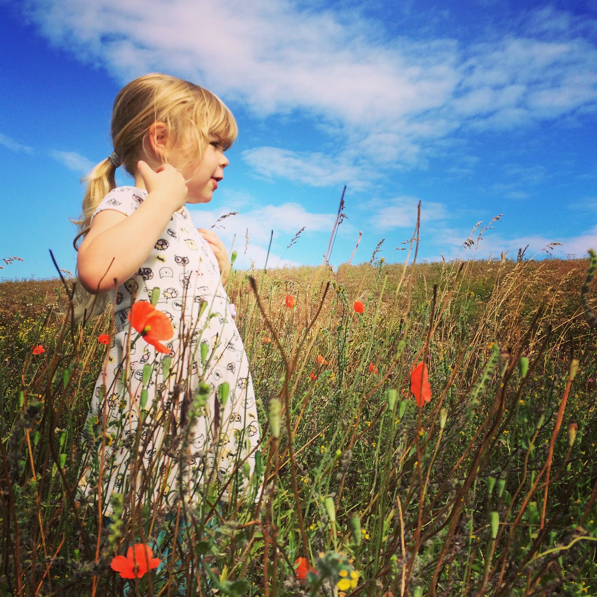 SpoonPhoto's tweet image. #poppygirl #karenwotherspoonphotography