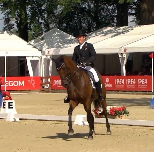 HorseSportIRL's tweet photo. 2017 FEI European Eventing Championships, Strzegom - Michael Ryan and Dunlough Striker (ISH) score 51.40 - into 2nd place after 5 have gone https://t.co/H0ACTleHsE