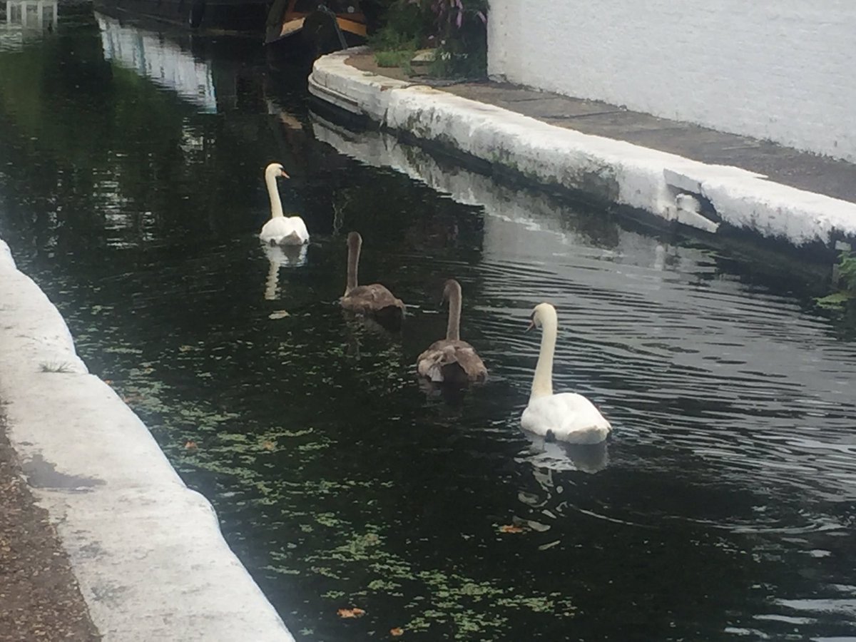 MatthewCRT's tweet photo. Rush hour in Little Venice @CRTLondon https://t.co/YpmkBnDVre