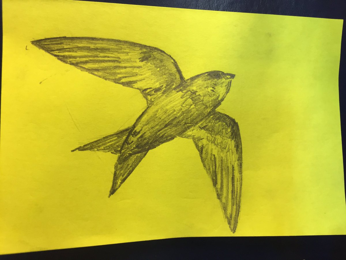 People know how to put a smile on my face; a beautiful swift drawn on post-it note stuck to desk this morning :) @BristolSwifts #mywildcity