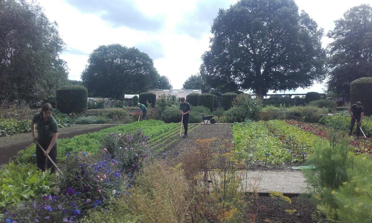 Jennifer Pryke (@jenniferpryke) on Twitter photo There is synchronised swimming and dancing but here in the <a href="/lemanoir/">Le Manoir aux Quat'Saisons, A Belmond Hotel</a> #organic kitchen #garden we practice synchronised hoeing! There is synchronised swimming and dancing but here in the <a href="/lemanoir/">Le Manoir aux Quat'Saisons, A Belmond Hotel</a> #organic kitchen #garden we practice synchronised hoeing!