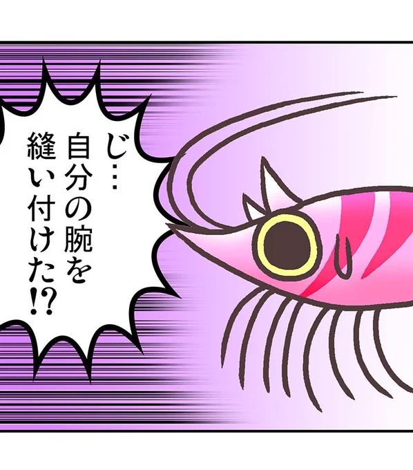 その13 