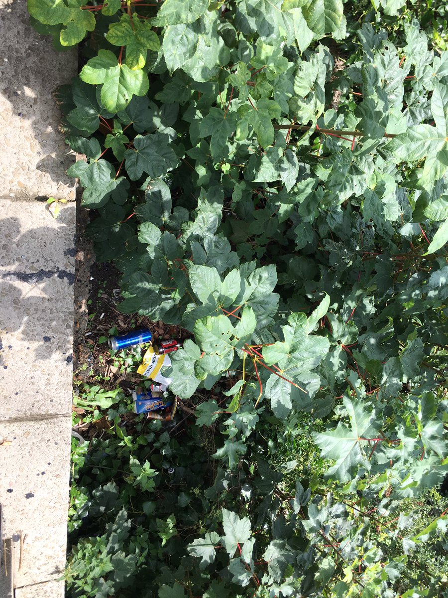 folkestonisbeautiful tweet media