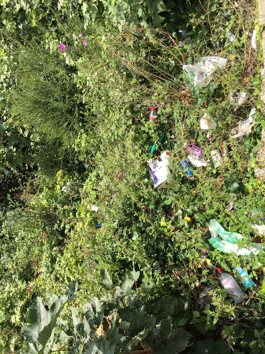 folkestonisbeautiful tweet media