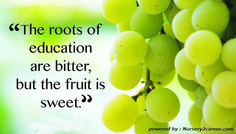 1myclasses's tweet photo. "The roots of #education are bitter, but the fruit is sweet." https://t.co/yriNthga0A