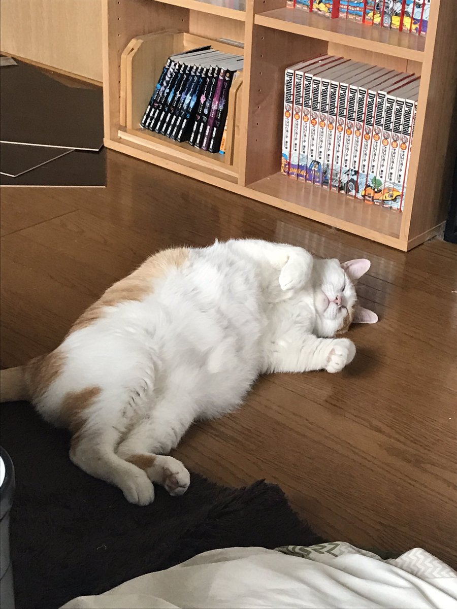 _hello__you__'s tweet photo. ビフォーアフター https://t.co/AKiBoMF5SX