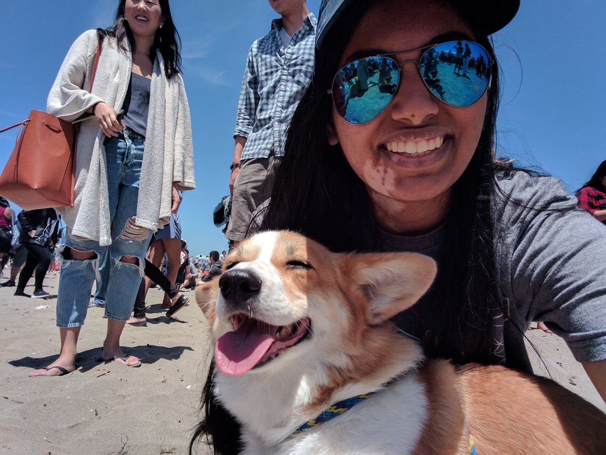 vishifishy's tweet photo. #GTComputingAdventures got all 5 waddup https://t.co/UT52n4shIT