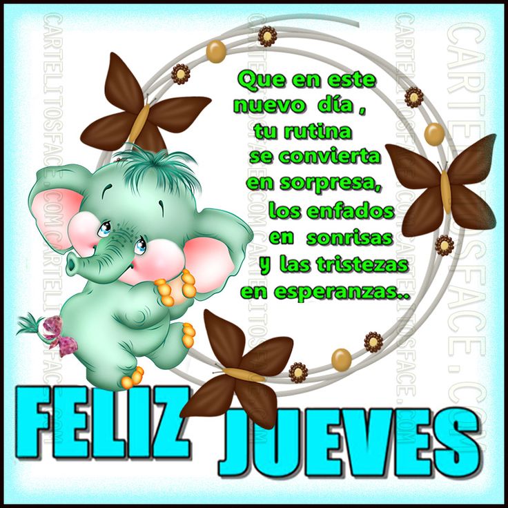 LassoNieves's tweet photo. Buenos dias soless β€β€ππ @albacoza @as2bea @SiempreMyS @SusiyManu29715 @antonia221963 @lovecabesa @as2bea #ymass lindo jueves ππ https://t.co/zUKtrl8cqo