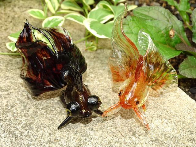 ガラスの金魚 網野篤子 個展7 14 18京都 در توییتر 薄いオレンジ色も好きだった リュウキン ネコに襲われて この子だけ居なくなって泣いた よくなついていた 黒出目金 子供の頃飼ってた金魚の記憶から生まれる ガラスの金魚 たち ガラス 金魚