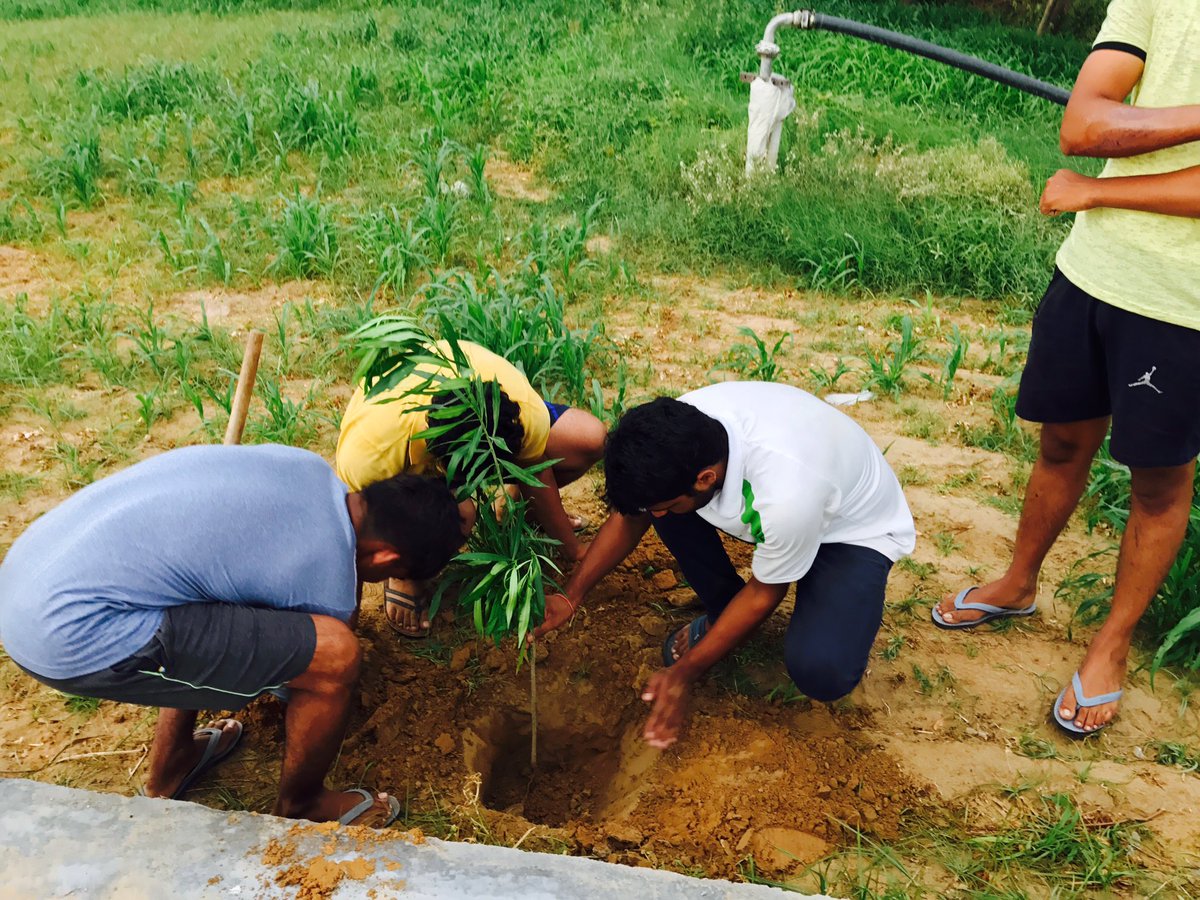 Rootsofhappine2's tweet photo. #treeplantation #ROOTSOFHAPPINESSNGO #GREENGURUGRAM #GOGREENWITHROOTSOFHAPPINESS https://t.co/46Igx0gk9d