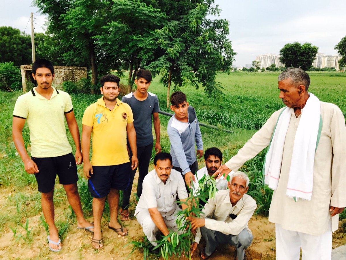 Rootsofhappine2's tweet photo. #treeplantation #ROOTSOFHAPPINESSNGO #GREENGURUGRAM #GOGREENWITHROOTSOFHAPPINESS https://t.co/46Igx0gk9d