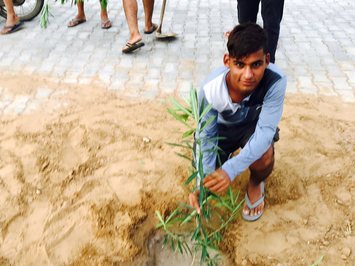 Rootsofhappine2's tweet photo. #treeplantation #ROOTSOFHAPPINESS #greenindia #greengurugram #greenisnewclean #plantingtrees #ngo #ROOTSOFHAPPINESS https://t.co/0gu0tSQskR