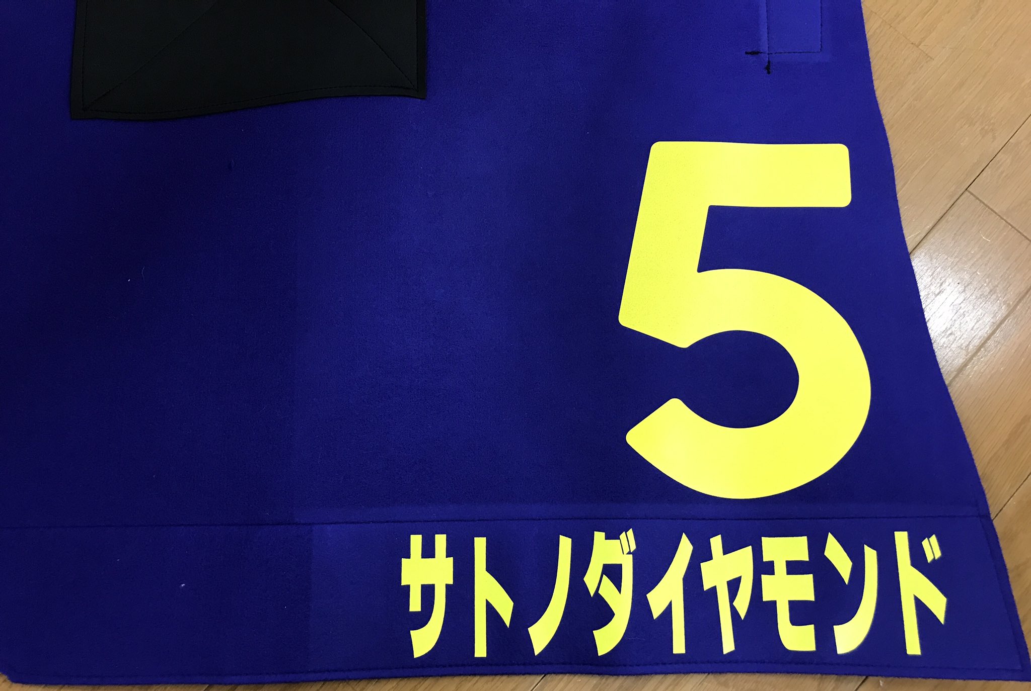 非売品】調教用ゼッケン(ルミナスウォリアー) | hartwellspremium.com