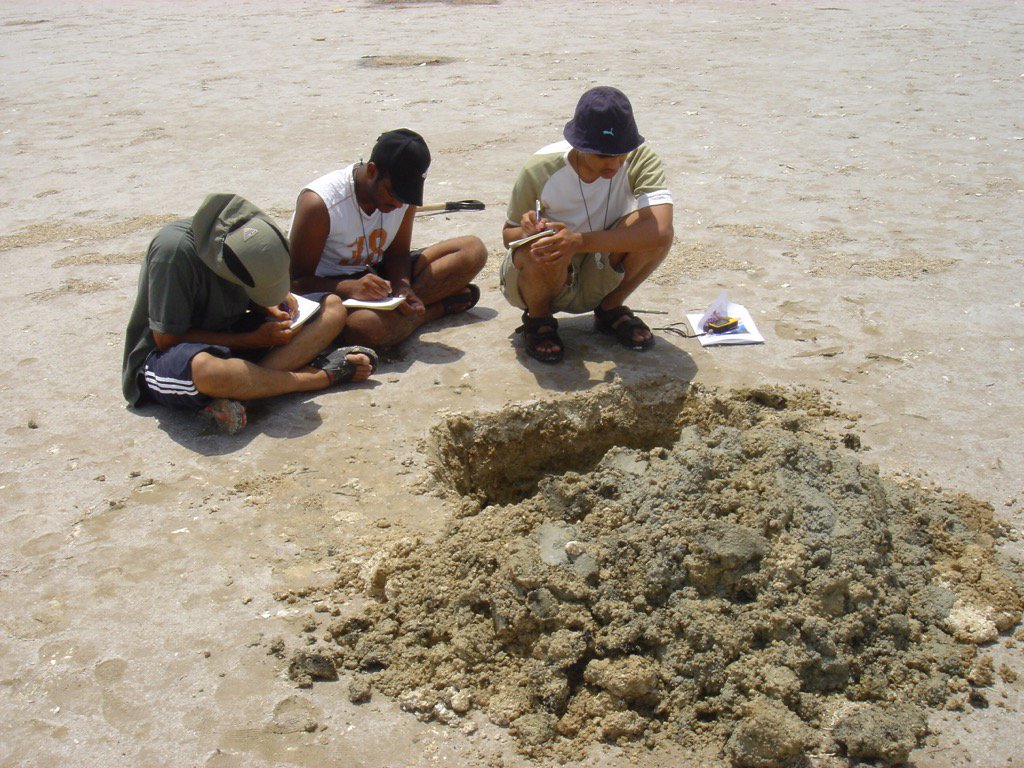 StephenLokier's tweet photo. #Sabkha image of the day. Students describe the subsurface in the #supratidal zone. https://t.co/JRXry1lHyN