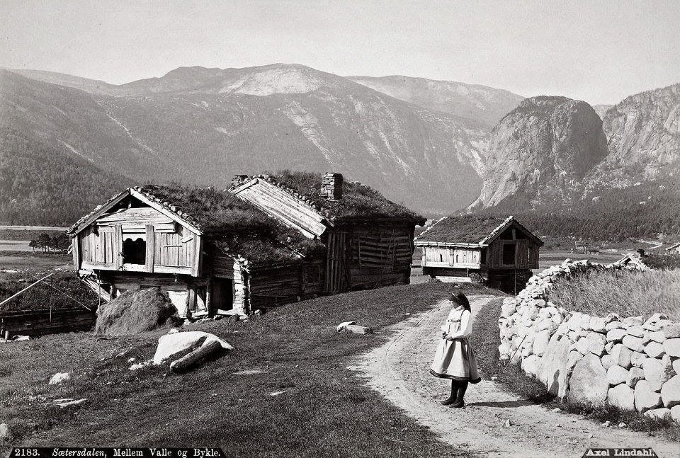 elusive_moose's tweet photo. #ThrowBackThursday From Setesdal, 1889 😊 #Norway #travel #heritage #grassroof #turfroof @SouthernNorway @visitsorlandet 🌾 https://t.co/cdkLb7j7bF