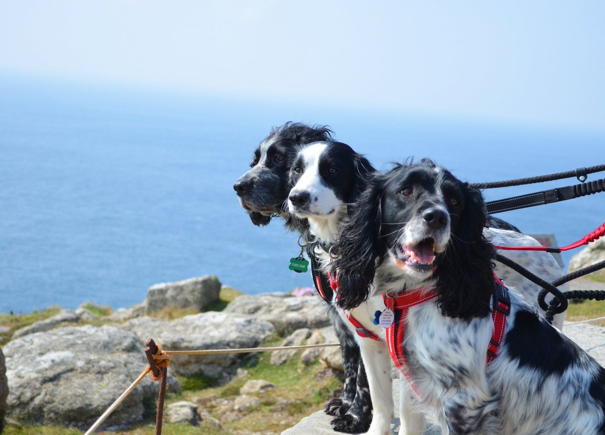Roxy_0089's tweet photo. Really feeling the need to be by the sea just lately!! I think these 3 would agree with me... https://t.co/VWCxuOTPBk
