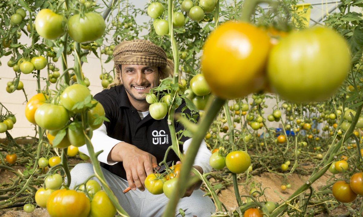 OmanMSME's tweet photo. Ahmed al Shuraiqi’s Farming for Hospitality is a boon to the surrounding hotels as fresh produce is made readily available. @OmranGroupOm https://t.co/aRRJQlqpOF