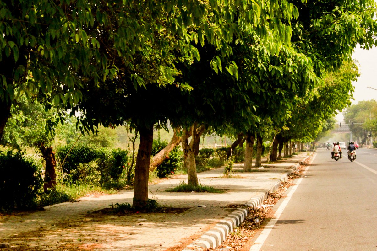 Cancertushar's tweet photo. Its always good to let go abd move on 
#ThursdayThoughts #photography #Delhi #loveyourself #peace https://t.co/cpr2rv2L2y