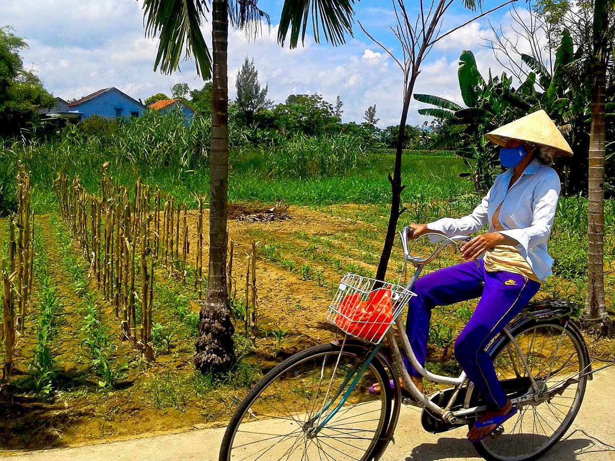 winterghost1970's tweet photo. Beautiful Cam Kim island, Hoi An, Vietnam
#HoiAn #Vietnam #vietnamese #CamKimIsland #travel #photography #locals #rural #scenery #summer https://t.co/IR7JlbStWo