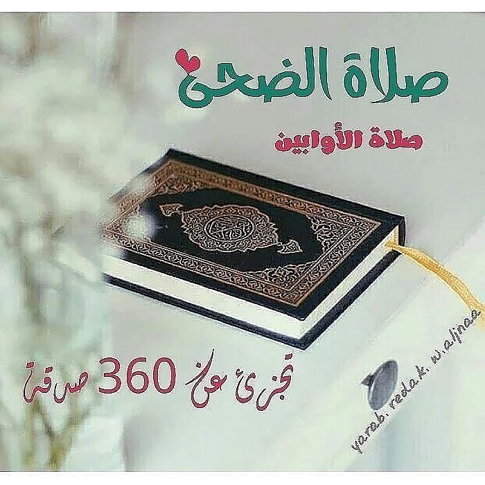 1_gooogooo's tweet photo. #صلاة الضحى ركعتان تجزئ عن ٣٦٠ صدقة .. عمل يسير وأجر كبير، فلا تفوت هذه الغنيمة، ستدخر لك يوم تلقى الله أحوج ما تكون للعمل الصالح https://t.co/6QeCwhHzBe