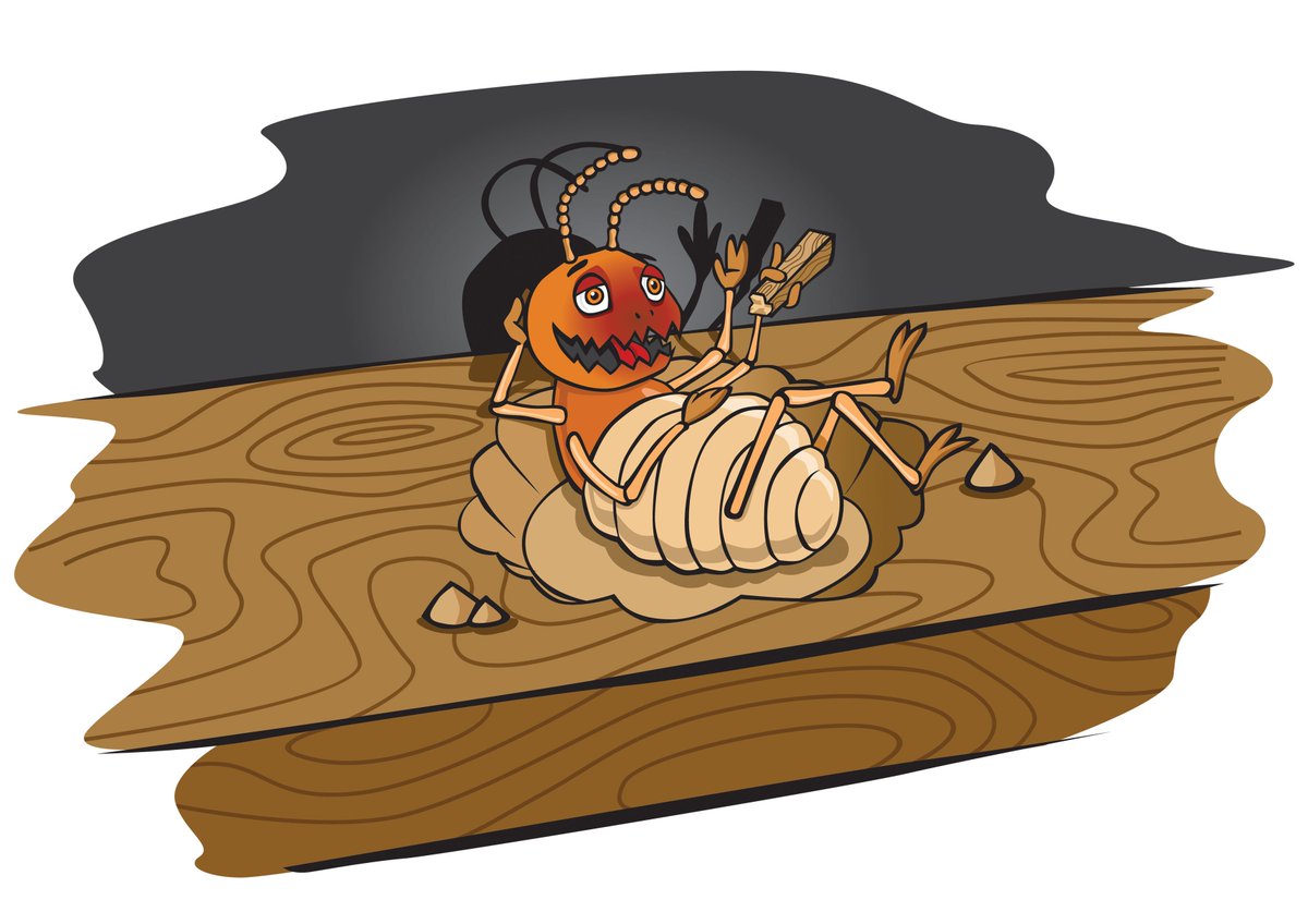 termitesPerth's tweet image. Introducing Terry the Termite! 

Find out what Terry has been up to by clicking the link below: 
bit.ly/2uKT81E