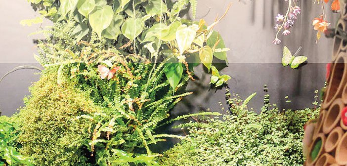 Un #mur #végétal dans un cabinet dentaire : une solution envisagée pour déstresser les patients! #greenwalls po.st/F5MFNt