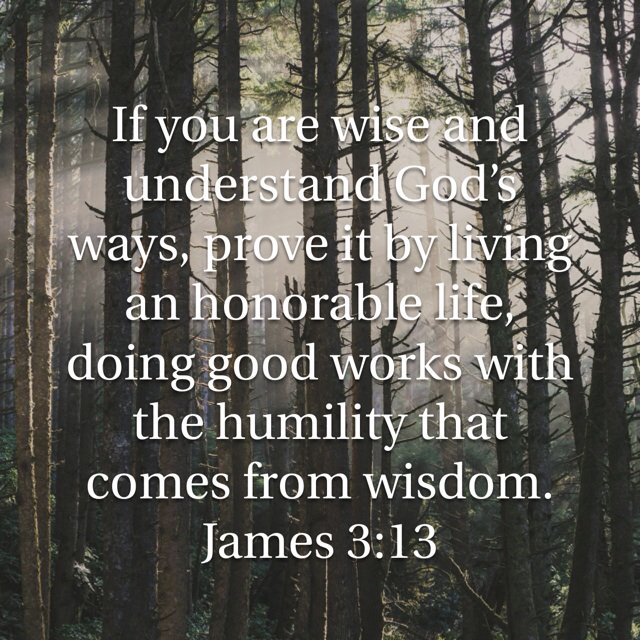 dkzchandler's tweet image. bible.com/116/jas.3.13.n…