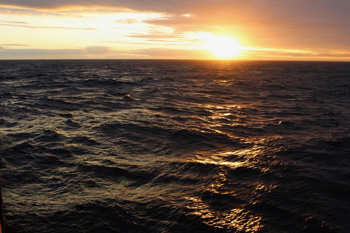KT_Campbell_'s tweet photo. Perks of working night shifts aboard @sikuliaq π
#arcticscience #dynamicarctic #midnightsun @DynamicArctic https://t.co/4mT5TpMkju