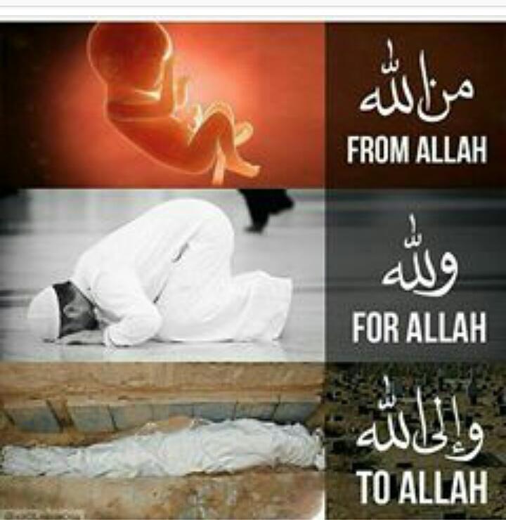 mdburhaan96's tweet photo. #From_Allah #For_Allah #To_Allah https://t.co/1knAeiB7Ux