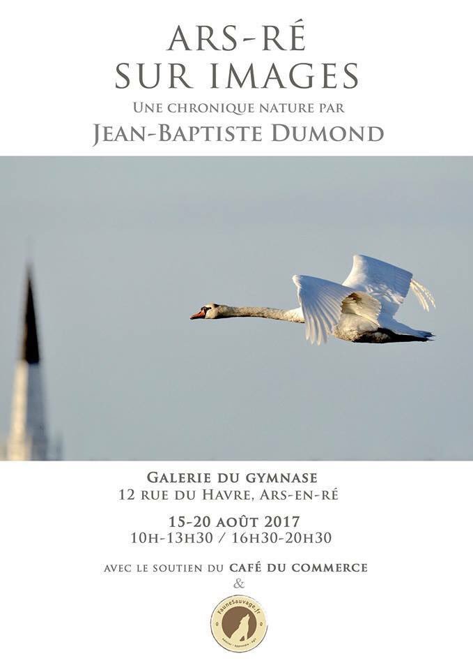 Ile de Ré tweet media