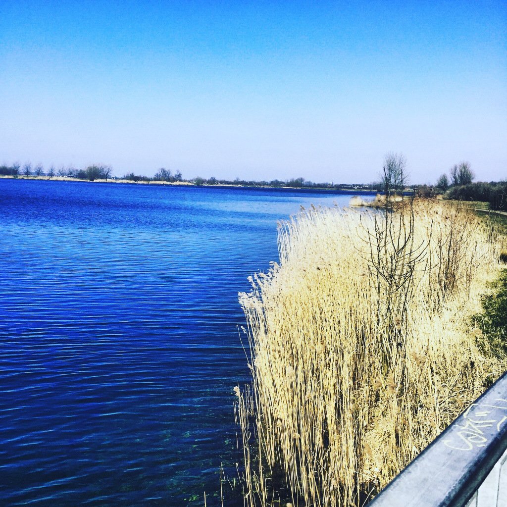 IJsselsteinBlog's tweet image. Mijn favoriete plekje – voor bezinning thuisinijsselstein.wordpress.com/2017/08/17/mij…