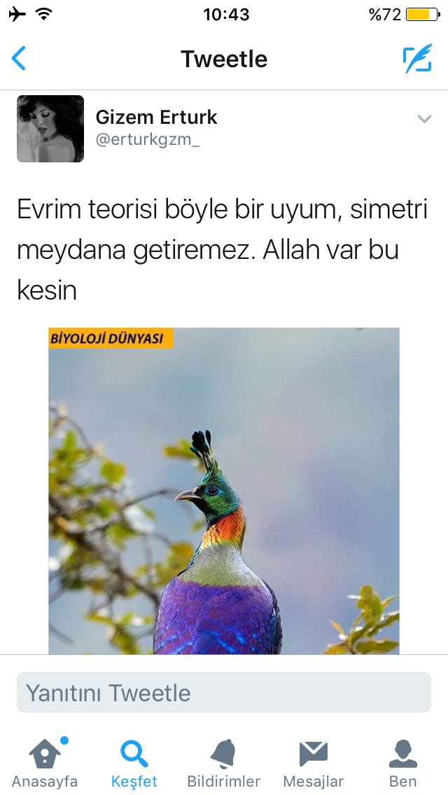 Barış Purut tweet media