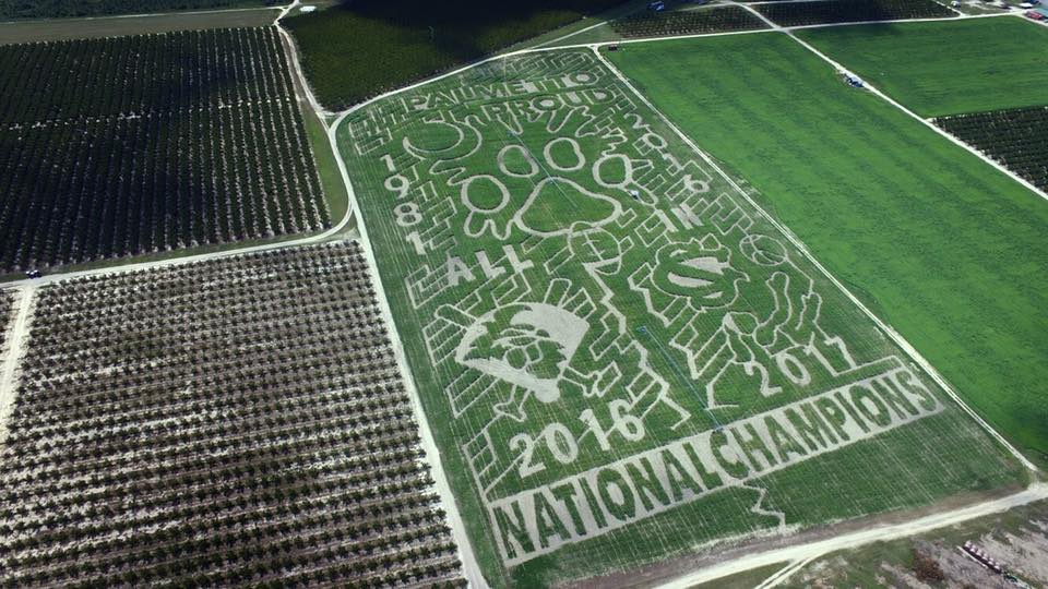 EdPiotrowski's tweet photo. Very cool corn maze created at McLeod Farms in McBee.  "Palmetto Proud"celebrates the championships of our state! https://t.co/6SdmoJe2h0