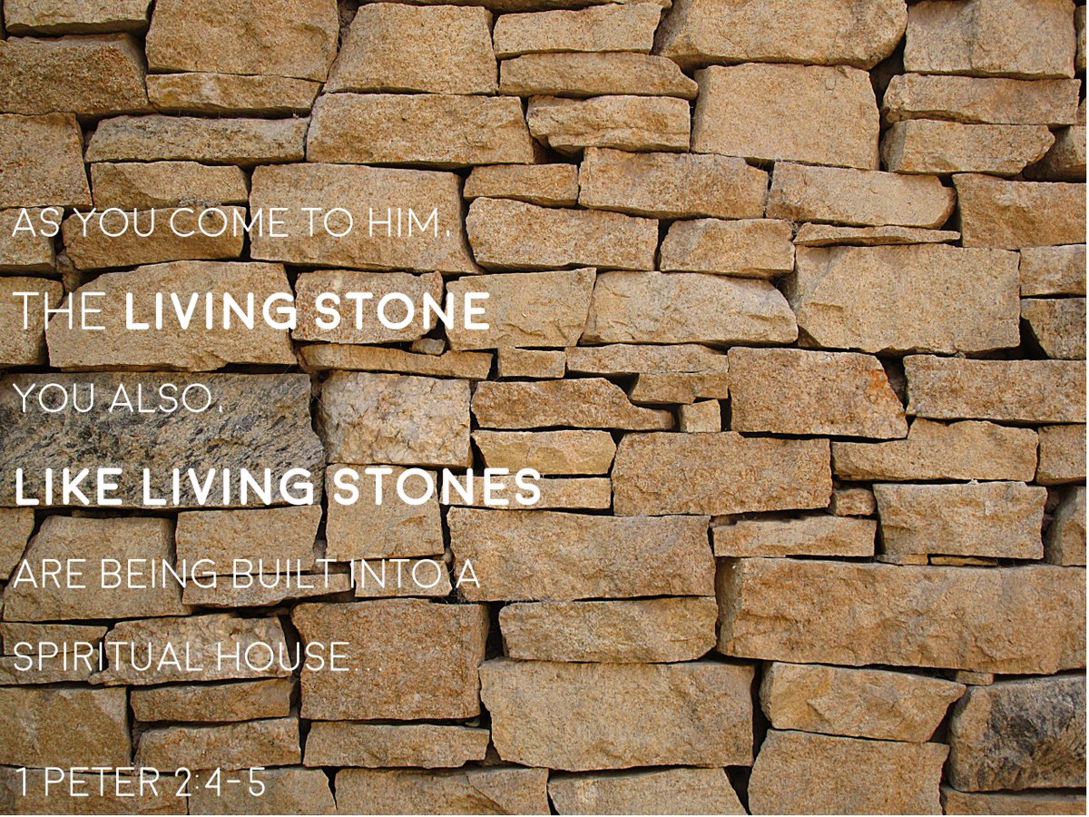 Vineyard707's tweet photo. Built  on the solid foundation of Christ you become a part of the kingdom that continues to grow and never fades away. https://t.co/I1jrpMfHzL