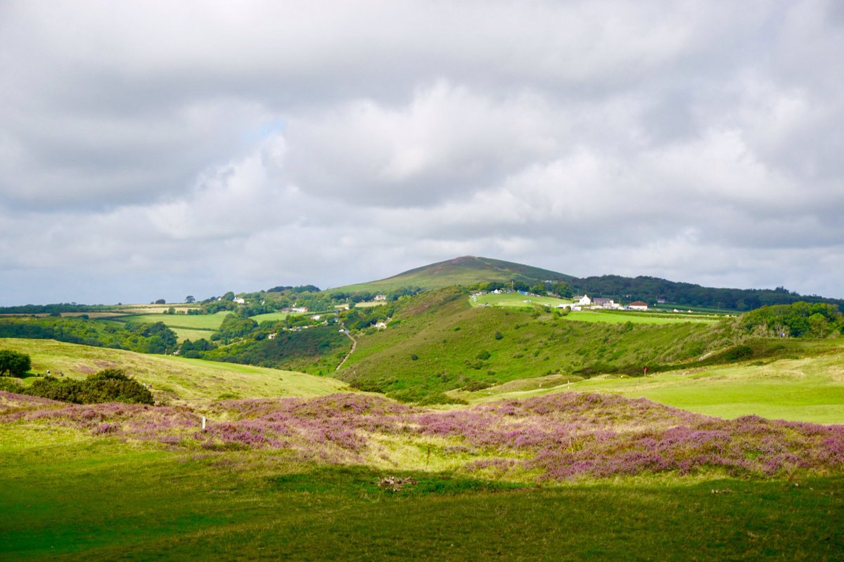 John Maclaughland tweet media