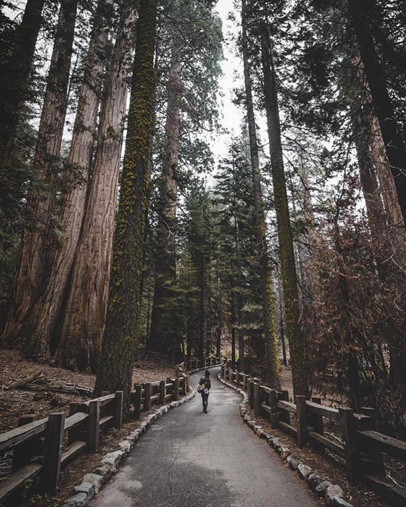 There are many paths in life that you can take. I hope your journey takes you on some nature paths and that you he… bit.ly/2wdBxjx