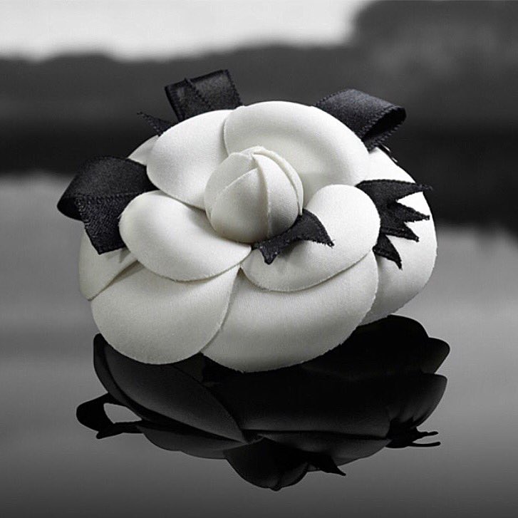 RBIRachelBates's tweet photo. #moodboard #camelia #inspiration for #rachelbates #new #designs coming soon ....... #camelias keep your eyes ๐ peeled .... @PositiveLuxury https://t.co/iIm4mMDVOj