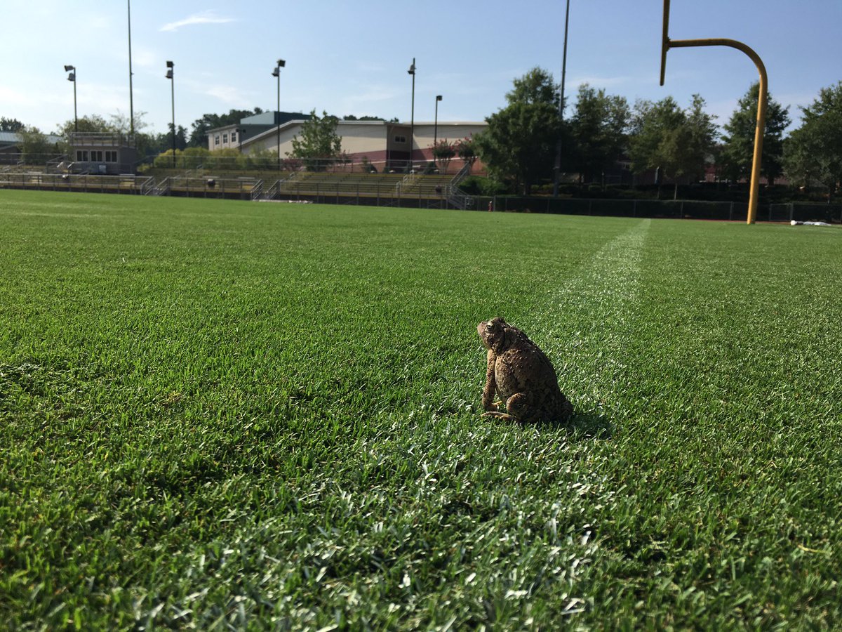 GoGrassMasters's tweet image. Dreaming about the big game at @nrcaknights @NRCA_Sports - all he needs is a kiss