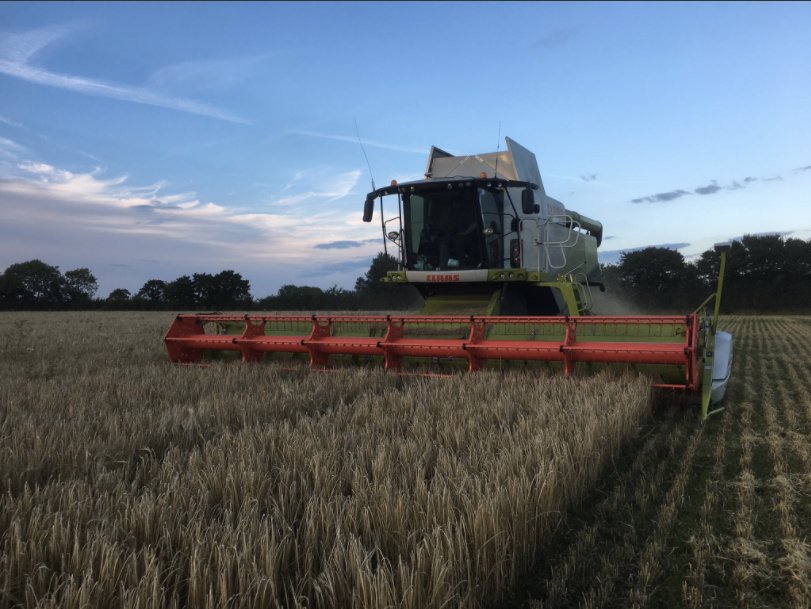 farmerama__'s tweet photo. Farmer @hanslope talks about #relaycropping to improve #diversity, output, organic matter & suppress weeds > https://t.co/t0W4s2Sh1z #NOCC17 https://t.co/pMLLlMIK6y