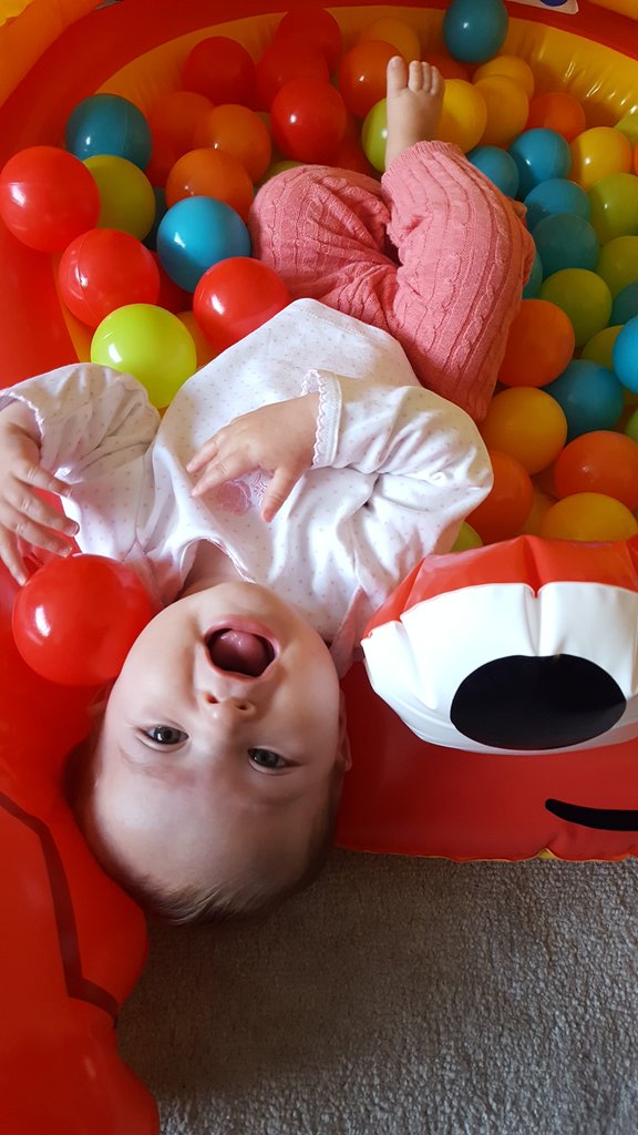 BabySweetBRAND's tweet photo. #cutestbaby daddy says I look cute in this pic. I say I look busy! https://t.co/2eIw4EVKvV