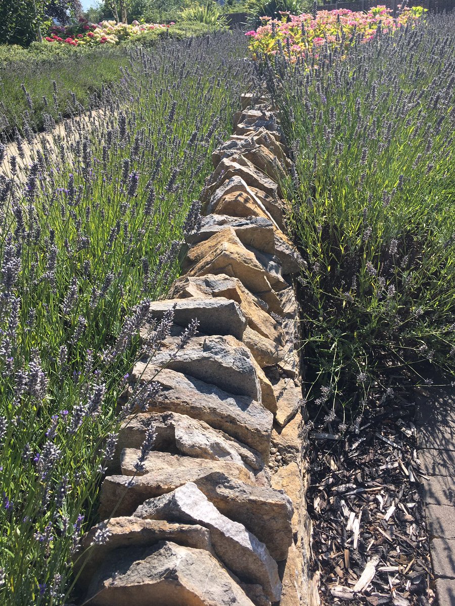 Lovell_Stone's tweet photo. This fabulous #Purbeck #RandomWalling @CheddarWoods Resort & Spa blends in beautifully with the surrounding landscape
#NaturalStone https://t.co/sbWEwy63vC