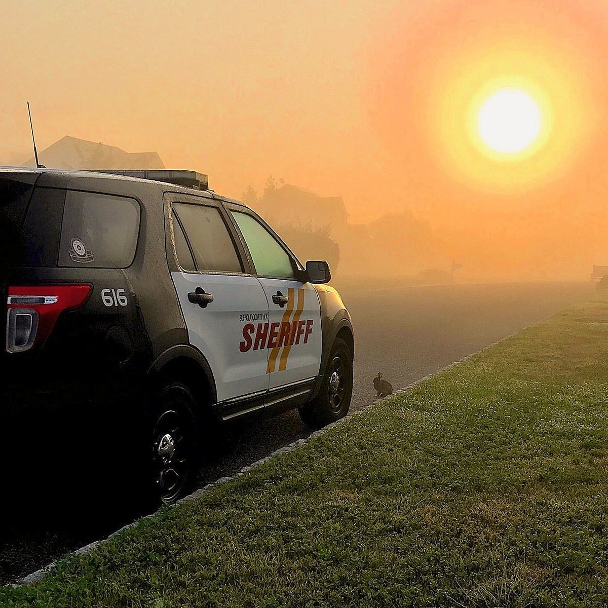 Suffolk_Sheriff photo