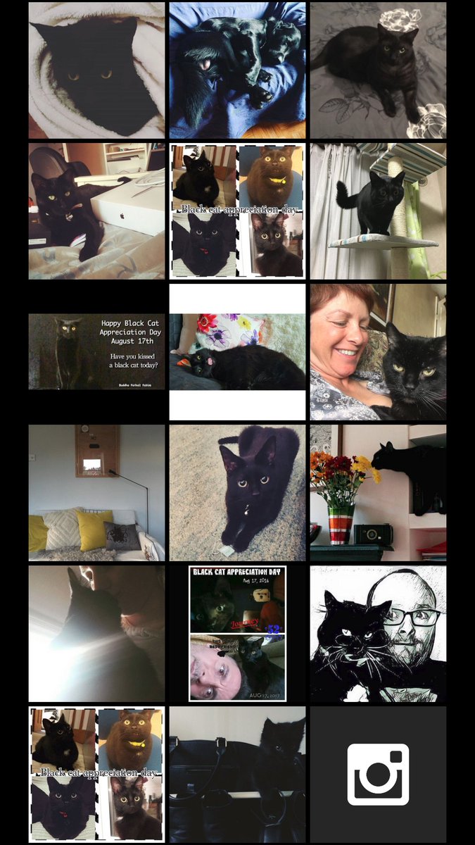 We've been enjoying your #blackcatappreciationday photos on our office screens this morning, but do any of you have an #officeCat?
