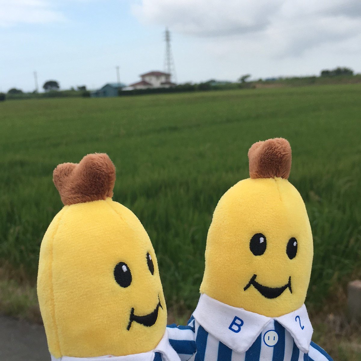 バナナインパジャマ@travel (@bananas1_2) / Posts / X