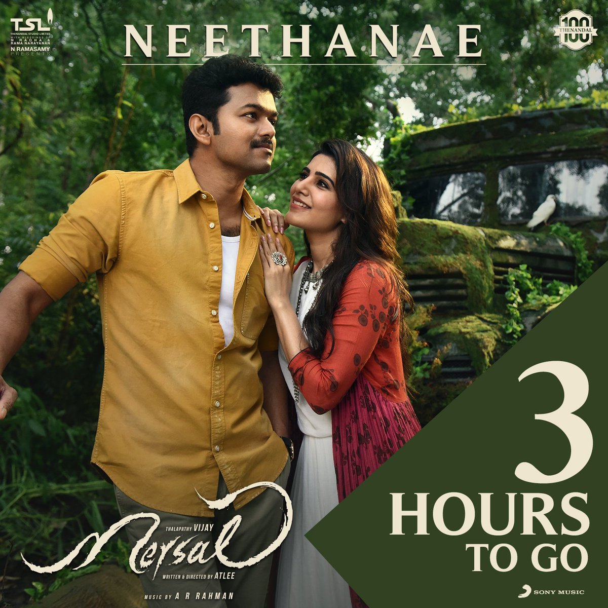 PraveenLiyoo's tweet photo. 3hrs to go Massive lovely song @actorvijay @sonymusicindia  😍😍😍  #Neethanae #Mersal #MersalMusicLIVE 
#MersalMelody #M#MersalonZeeTamil 😘😘😘 https://t.co/lLAP2D2GPH
