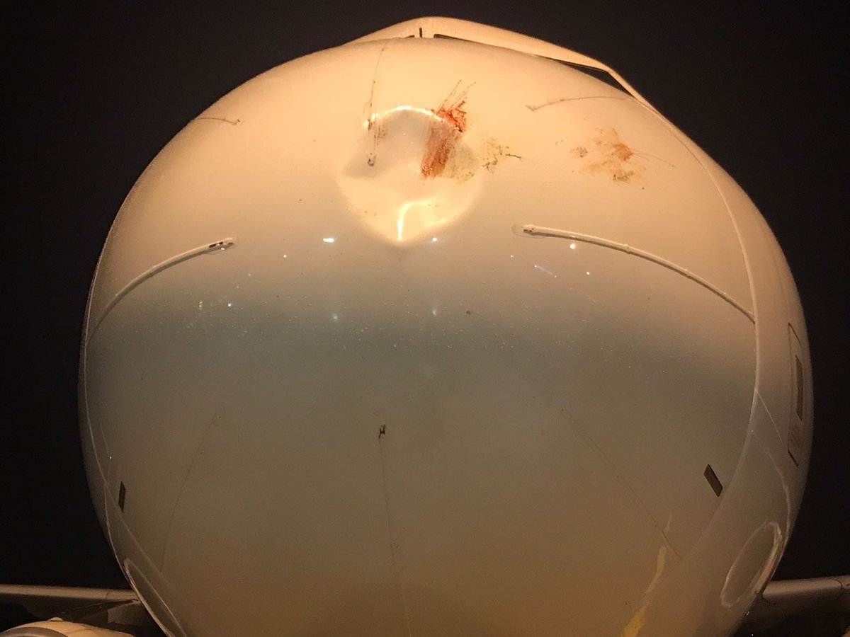 crashaerien's tweet photo. Urgence cause choc aviaire d'un avion (B738/TC-DCB) de Pegasus Airlines (#PC2962) - https://t.co/6i7klg8AqM @crashaerien https://t.co/jksGODnjvt