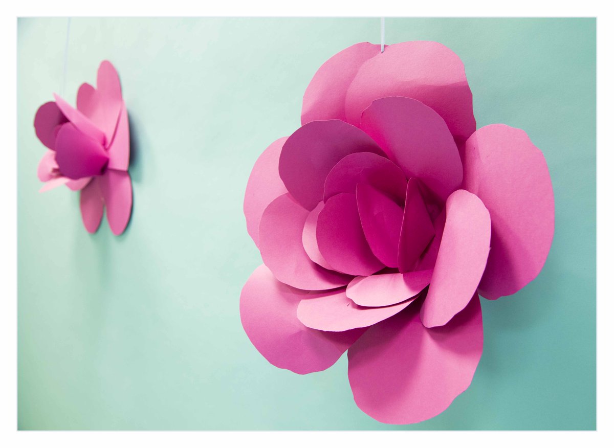 PhotoCharl's tweet photo. I got creative for a birthday party backdrop last week! These paper flowers were much more difficult than pinterest made out. 
#diybackdrop https://t.co/zkADHC3gPB