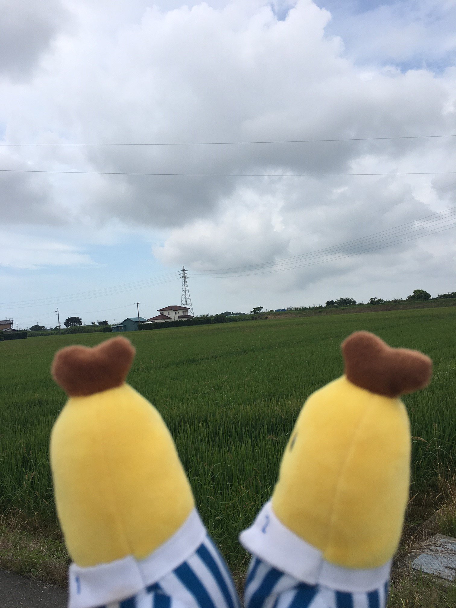 バナナインパジャマ@travel (@bananas1_2) / X バナナインパジャマ@travel (@bananas1_2) / X