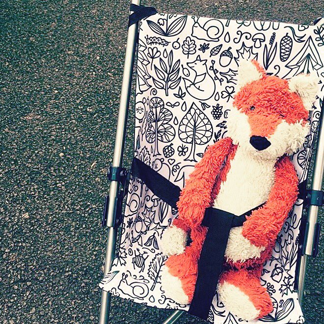 Love this pic by Mumma <a href="/nateden/">Natalie</a> of her son's #pimpmystroller wheels including a very special foxy passenger 💛