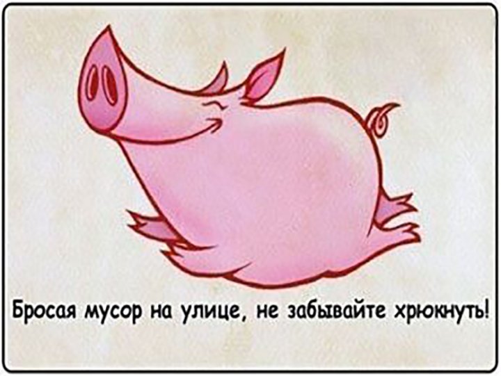 один смешные картинки про поросят и мусор репетитор
